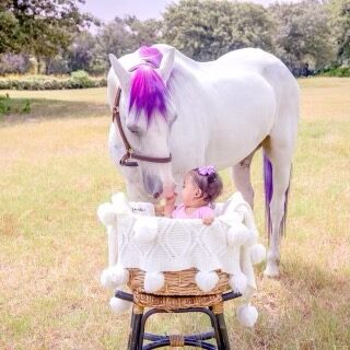 A white horse with purple mane stands next to an infant sitting in a white basket outdoors on a grassy field. The infant, wearing a purple hair bow, reaches out to touch the horse’s nose.